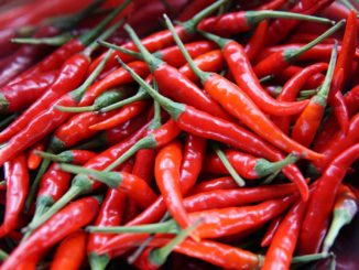 Spicy Chilli facts