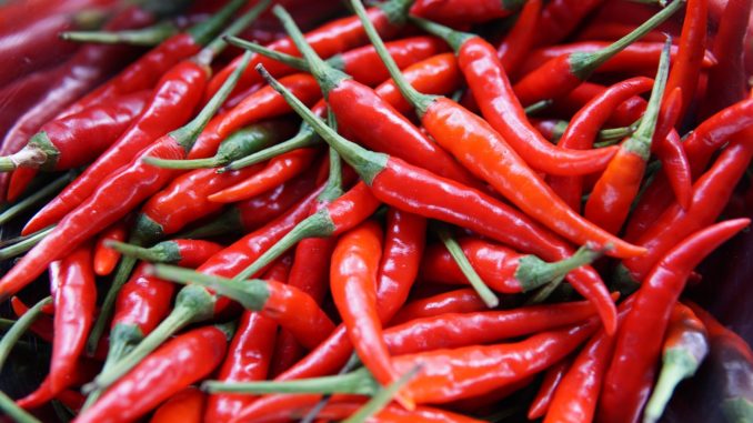 Spicy Chilli facts